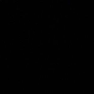 Meet your Posher, Kyler